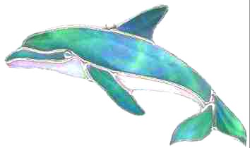 Dolphin