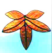 Small Leaf