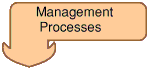 Management processes